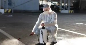 Flea Pest Control Sydney – Trusted Solutions That Protect Your Home &amp;amp;amp; Pets