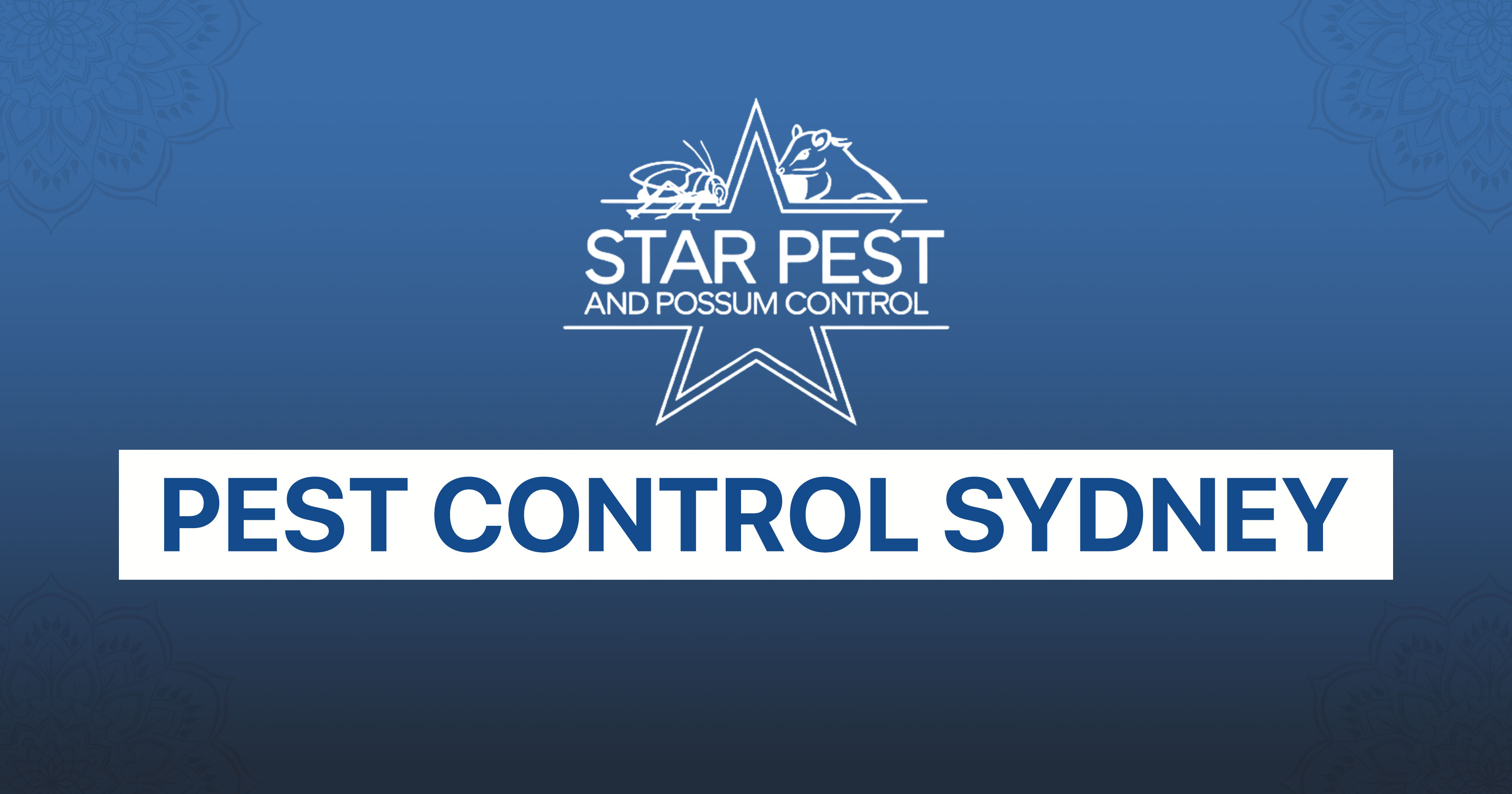 No.1 Pest Control Sydney - Trusted and Professional