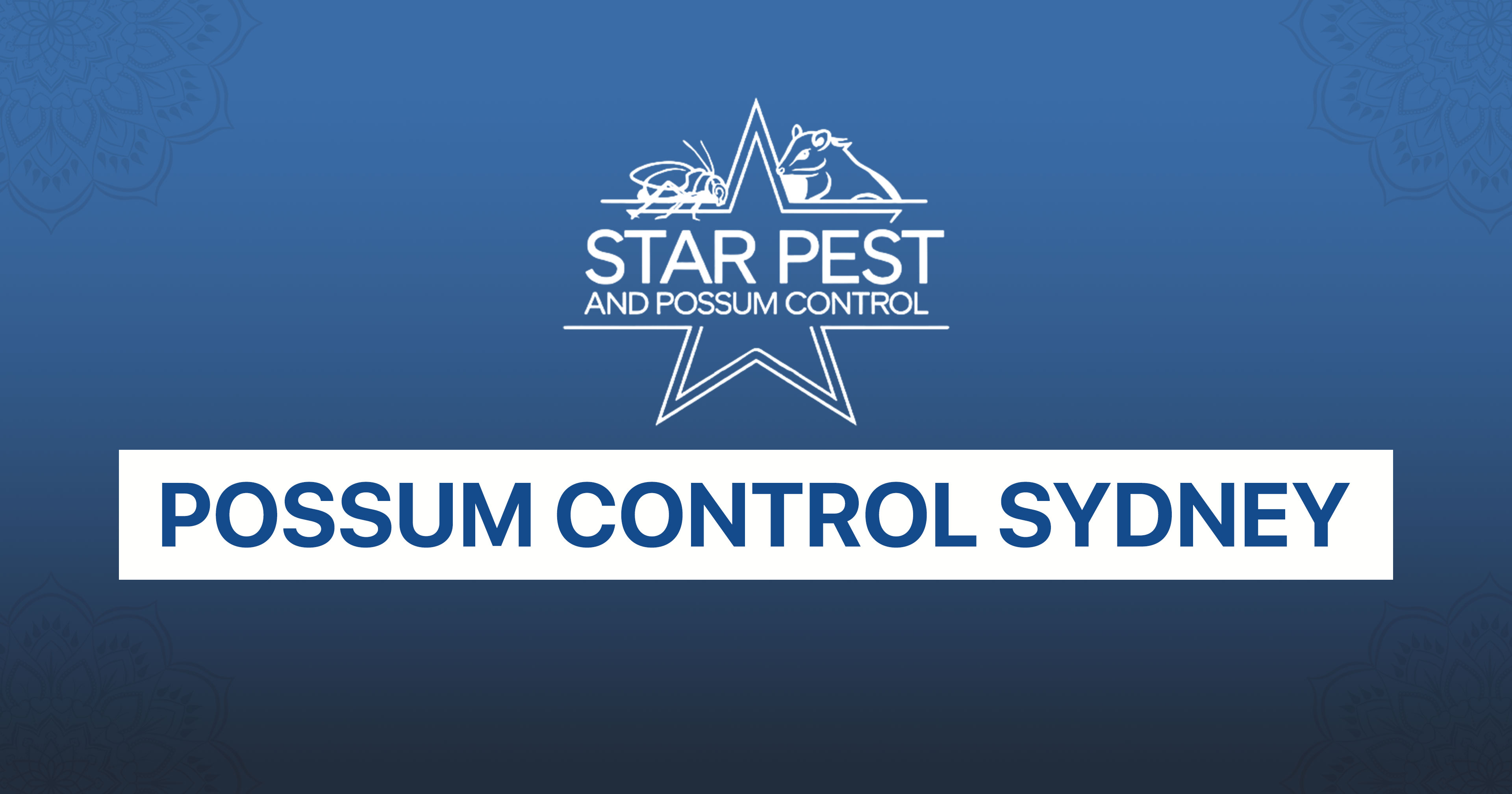 Possum Control Sydney